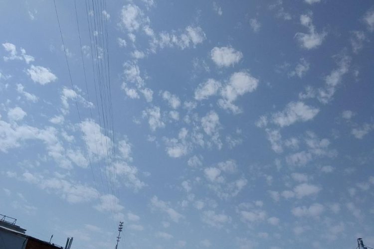 Рязанский метеоролог заснял редкие хлопьевидные облака над городом