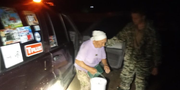 Рязанские добровольцы нашли потерявшуюся в лесу пенсионерку живой