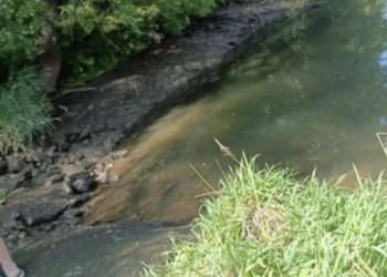 В Михайловском районе прорвало плотину, но местные власти отказались проводить ремонт