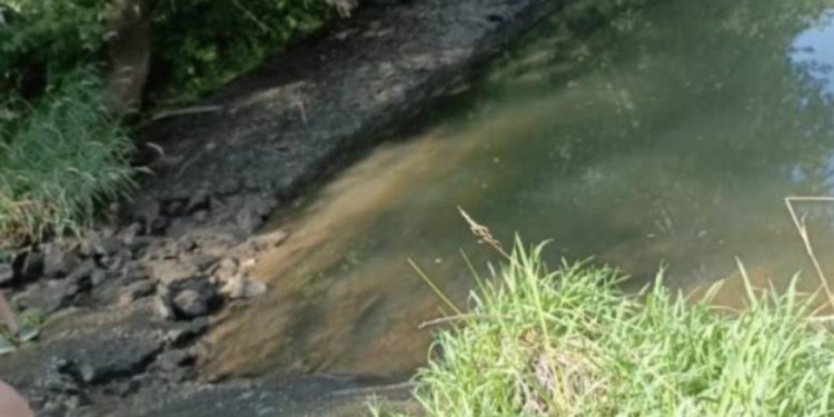 В Михайловском районе прорвало плотину, но местные власти отказались проводить ремонт