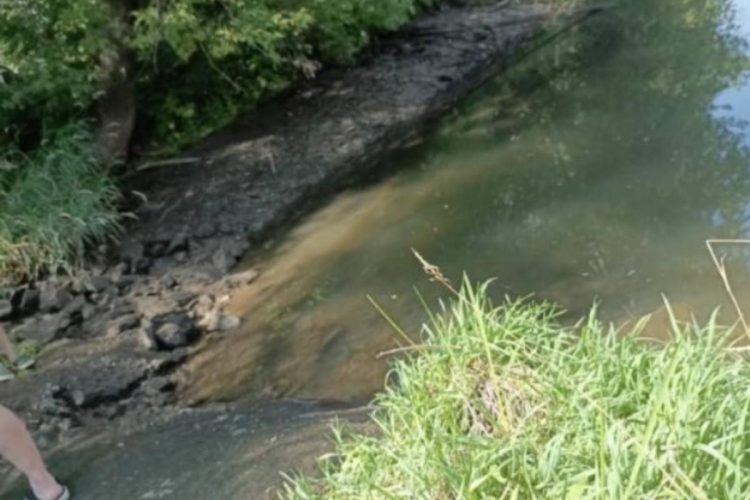 В Михайловском районе прорвало плотину, но местные власти отказались проводить ремонт