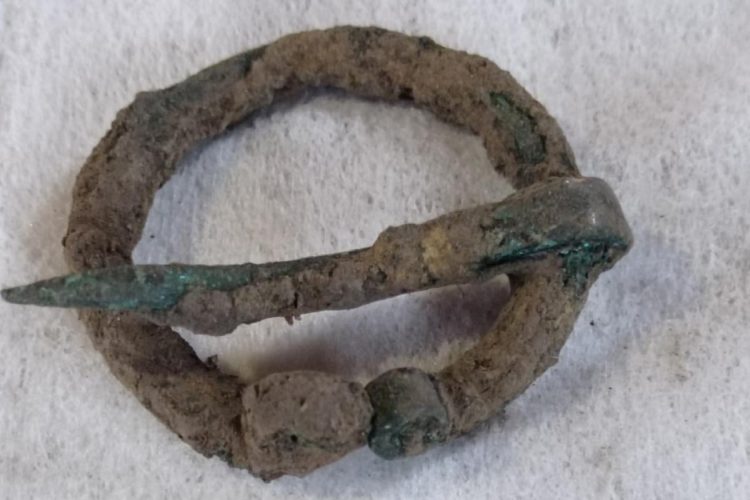 На Старой Рязани археологи обнаружили фибулу