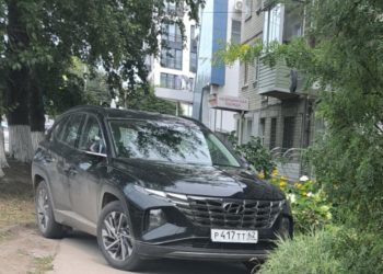 Рязанцев возмутил припаркованный на пешеходной дорожке автомобиль