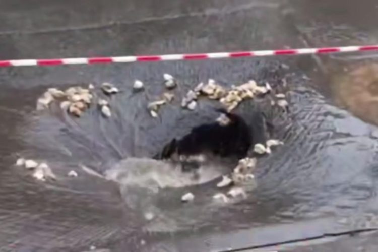 Напротив рязанской ОДКБ провалился асфальт