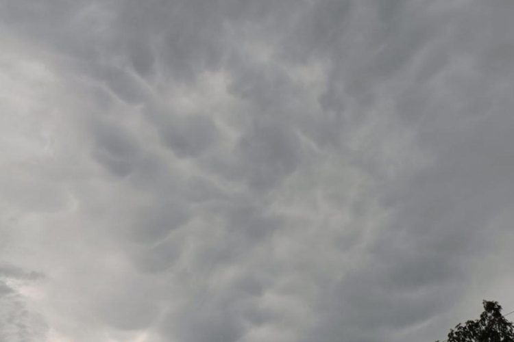 Рязанцы запечатлели в небе над городом редкие облака