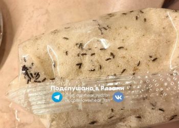 Рязанцы пожаловались на сервис доставки, который привез манную крупу с насекомыми