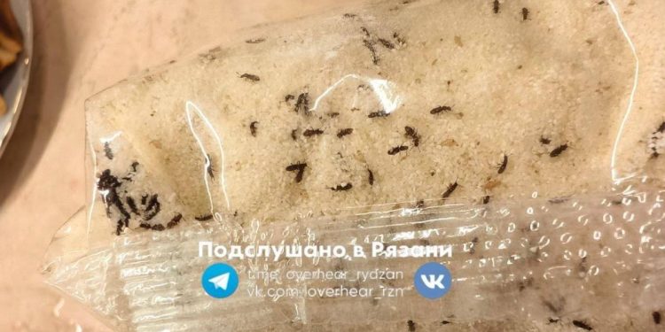 Рязанцы пожаловались на сервис доставки, который привез манную крупу с насекомыми
