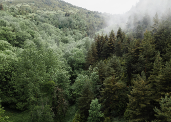 МЧС: с 20 по 23 сентября в Рязанской области сохранится высокая пожарная опасность