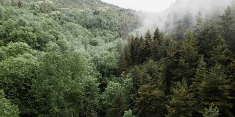 МЧС: с 20 по 23 сентября в Рязанской области сохранится высокая пожарная опасность МЧС: с 20 по 23 сентября в Рязанской области сохранится высокая пожарная опасность