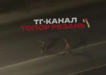 Рязанцы сообщили о двух мужчинах, бегающих по проезжей части Рязанцы сообщили о двух мужчинах, бегающих по проезжей части