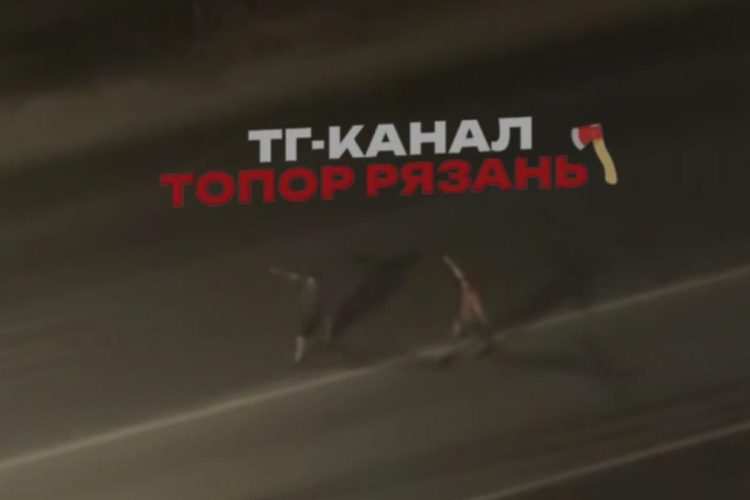 Рязанцы сообщили о двух мужчинах, бегающих по проезжей части