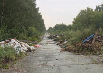В Рязани нашли несанкционированную свалку