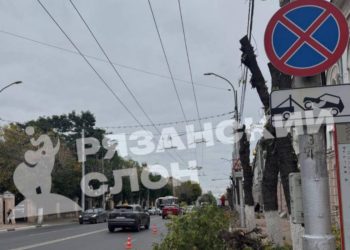 Рязанцев возмутило кронирование деревьев в центре города Рязанцев возмутило кронирование деревьев в центре города