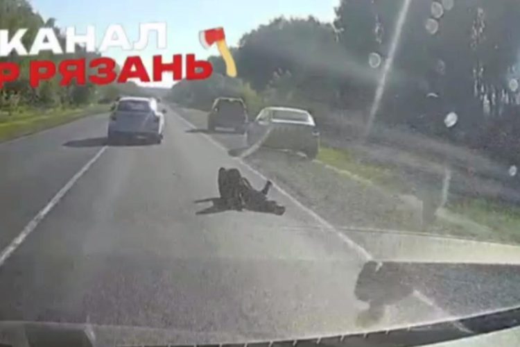 На Ряжском шоссе сбили человека