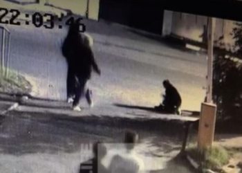 На проезде Завражного водитель автомобиля сбил собаку и скрылся с места происшествия
