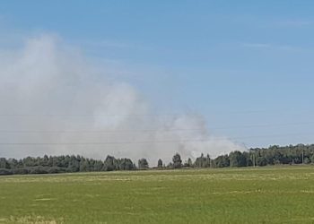 В рязанской Туме загорелась свалка В рязанской Туме загорелась свалка