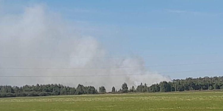 В рязанской Туме загорелась свалка