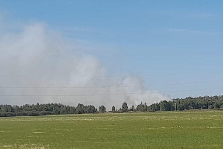 В рязанской Туме загорелась свалка