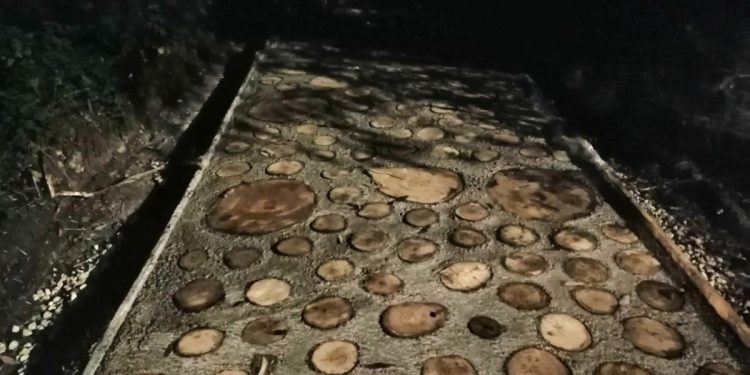 В рязанском Лесопарке заметили часть новой экотропы В рязанском Лесопарке заметили часть новой экотропы