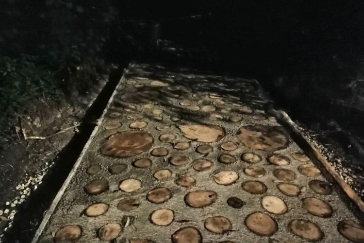 В рязанском Лесопарке заметили часть новой экотропы