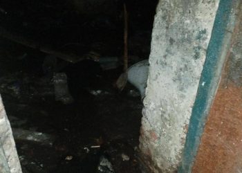 Рязанцы сообщили об ужасном состоянии жилого дома на улице Павлова