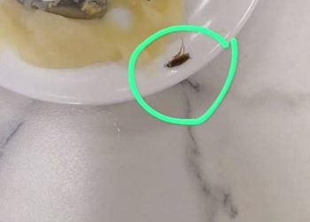 В рязанской школе №76 в тарелке с едой обнаружили таракана В рязанской школе №76 в тарелке с едой обнаружили таракана