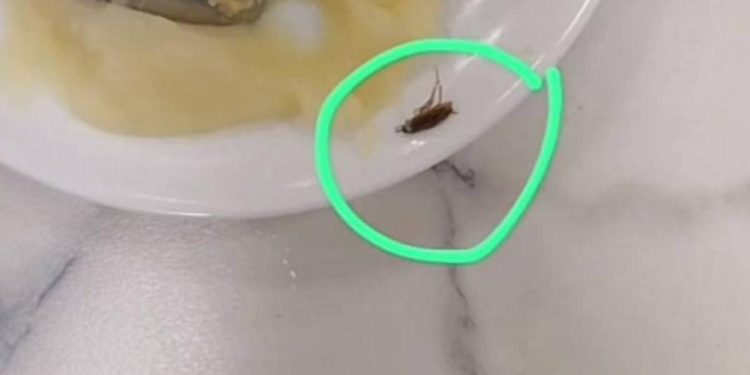 В рязанской школе №76 в тарелке с едой обнаружили таракана В рязанской школе №76 в тарелке с едой обнаружили таракана