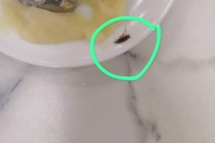 В рязанской школе №76 в тарелке с едой обнаружили таракана