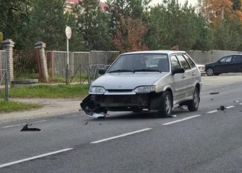 В Пронском районе водитель легковушки сбил собаку В Пронском районе водитель легковушки сбил собаку