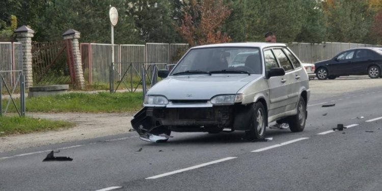 В Пронском районе водитель легковушки сбил собаку