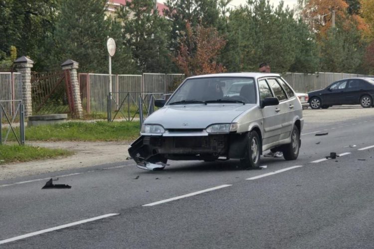 В Пронском районе водитель легковушки сбил собаку