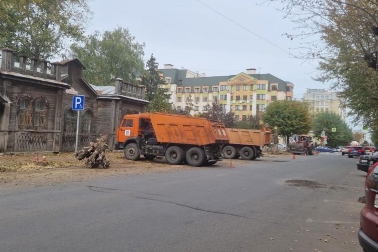 Рязанцы остались недовольны вырубкой деревьев на улице Введенской
