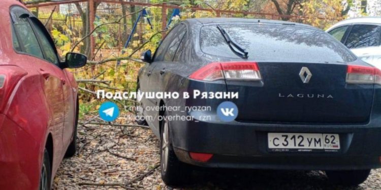 На улице Новаторов сухое дерево упало на припаркованные автомобили