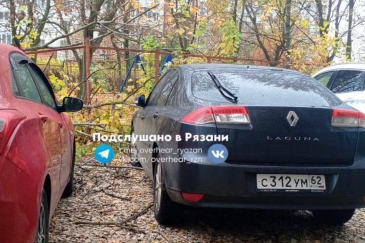 На улице Новаторов сухое дерево упало на припаркованные автомобили