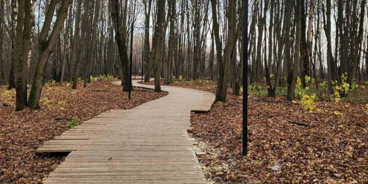 Рязанцы переживают, что новую экотропу в Лесопарке может смыть во время весеннего паводка