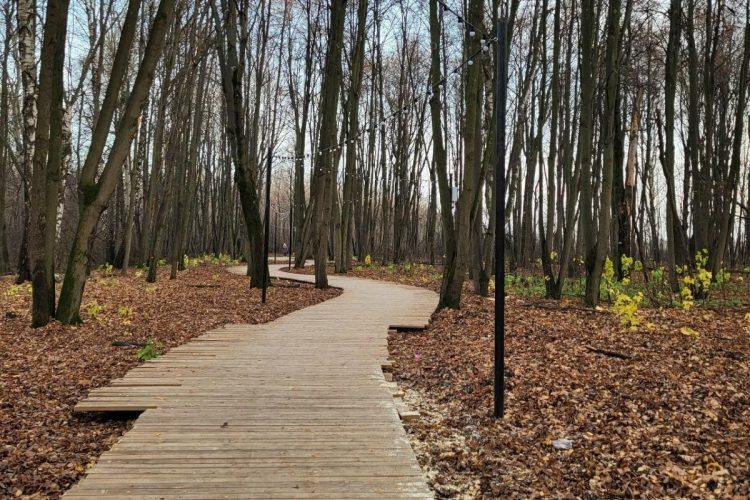 Рязанцы переживают, что новую экотропу в Лесопарке может смыть во время весеннего паводка