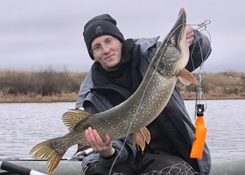 Рязанец выловил из Оки огромную рыбу