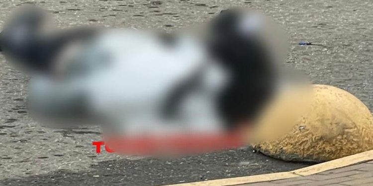 На улице Островского нашли труп