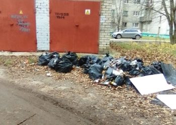 Горожане сообщили о свалке около рязанской школы №9/31