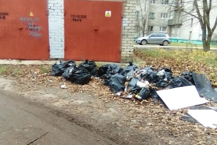 Горожане сообщили о свалке около рязанской школы №9/31
