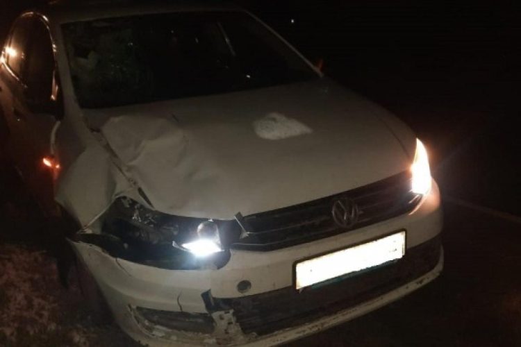 В Захаровском районе 47-летний водитель насмерть сбил девушку-пешехода