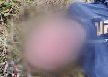 Под Рязанью в поле обнаружили труп мужчины Под Рязанью в поле обнаружили труп мужчины