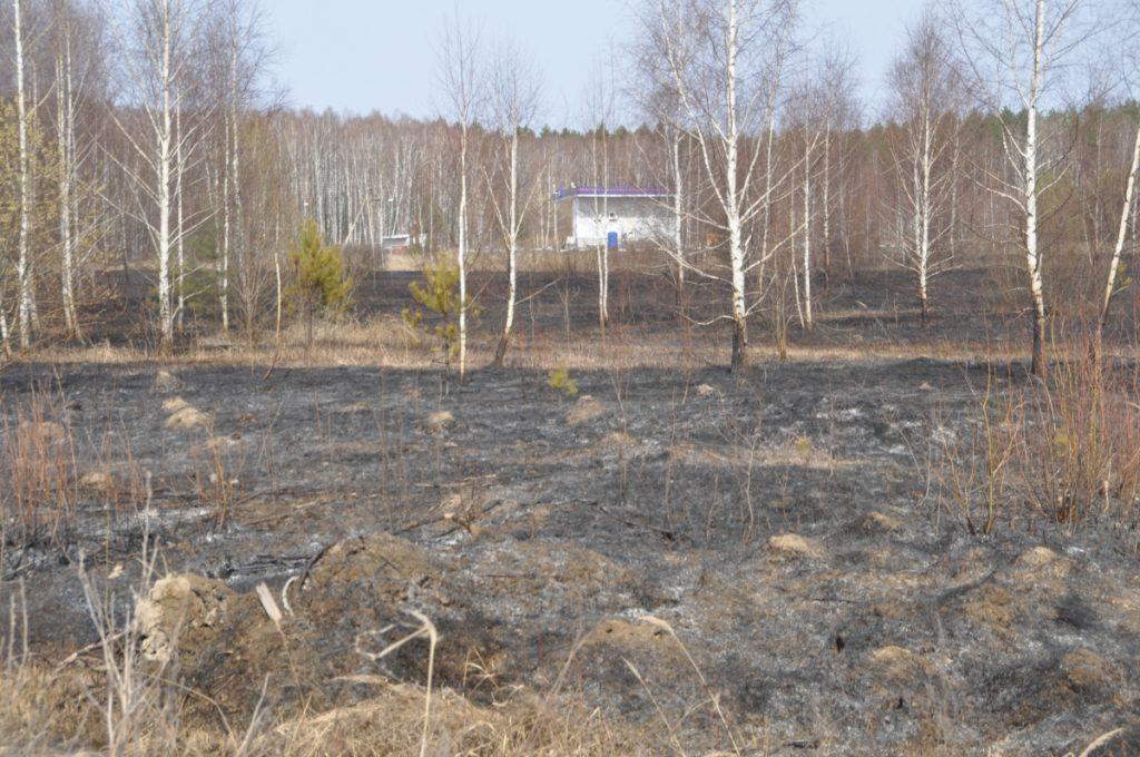 В Касимовском районе в один произошло три пожара из-за пала травы