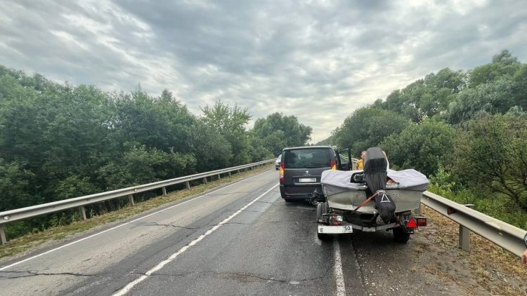 В ДТП под Рязанью пострадали два человека, в том числе 9-летняя девочка