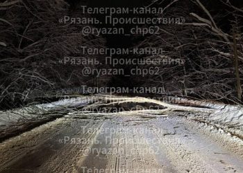 Въезд в рязанский поселок перекрыло дерево, а сам город стоит в пробках