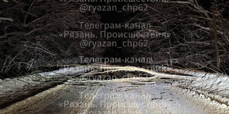Въезд в рязанский поселок перекрыло дерево, а сам город стоит в пробках