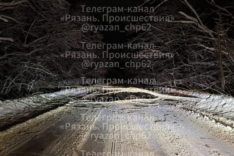 Въезд в рязанский поселок перекрыло дерево, а сам город стоит в пробках
