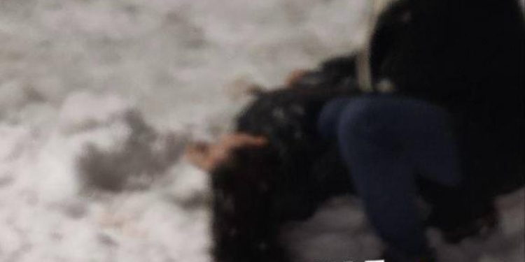 В Рязани ледяная глыба травмировала девушку