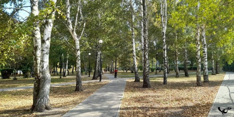 В День народного единства в Рязанской области ожидается до +10 градусов