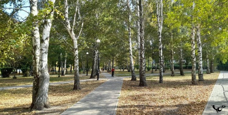 В День народного единства в Рязанской области ожидается до +10 градусов